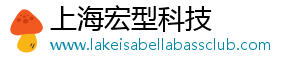 上海宏型科技