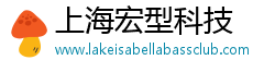 上海宏型科技